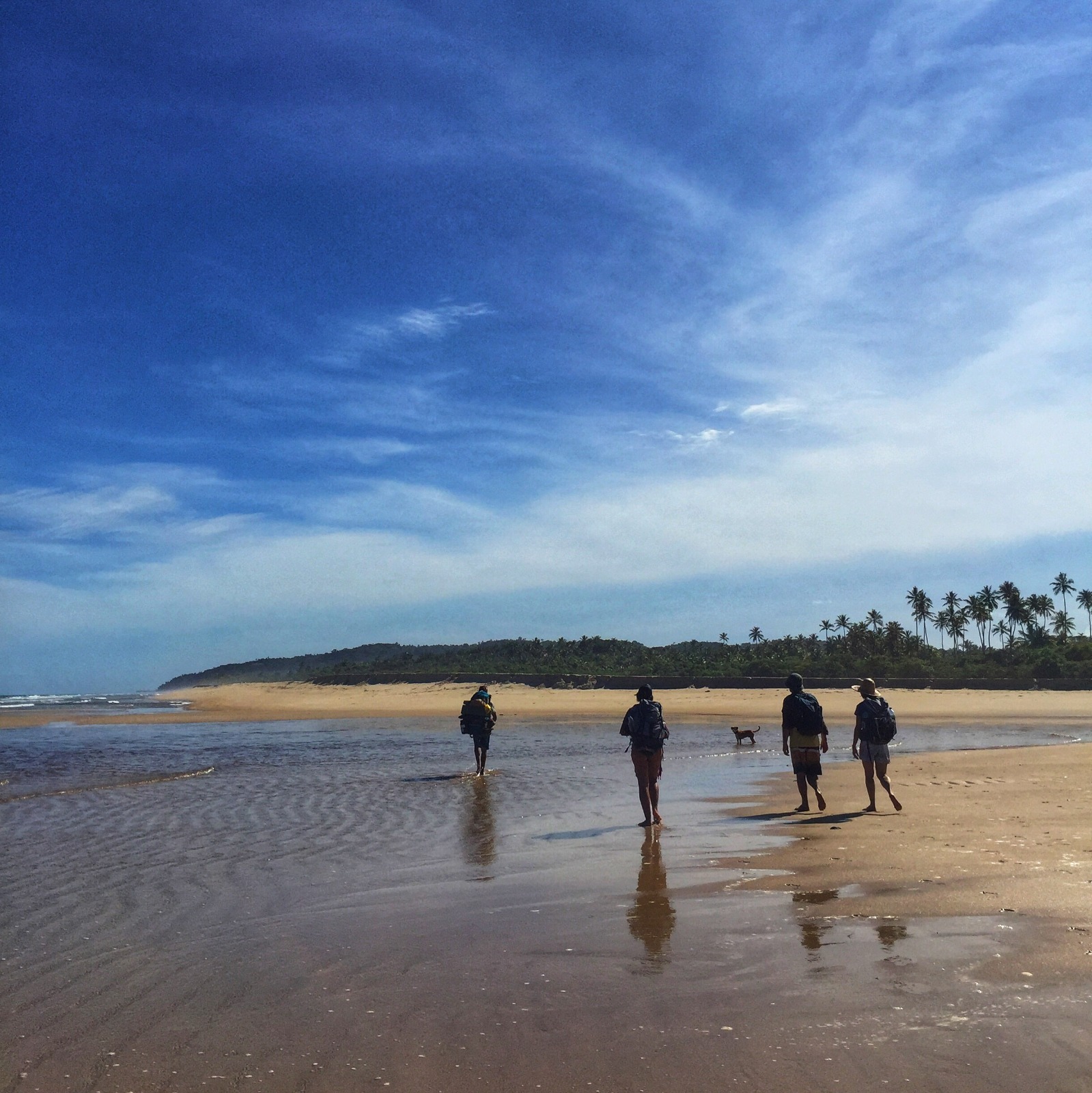 Galeria da expedição 11