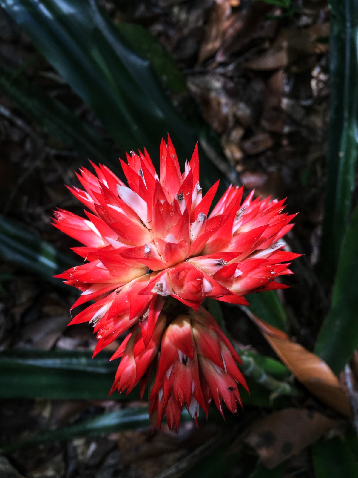 Galeria da expedição 19