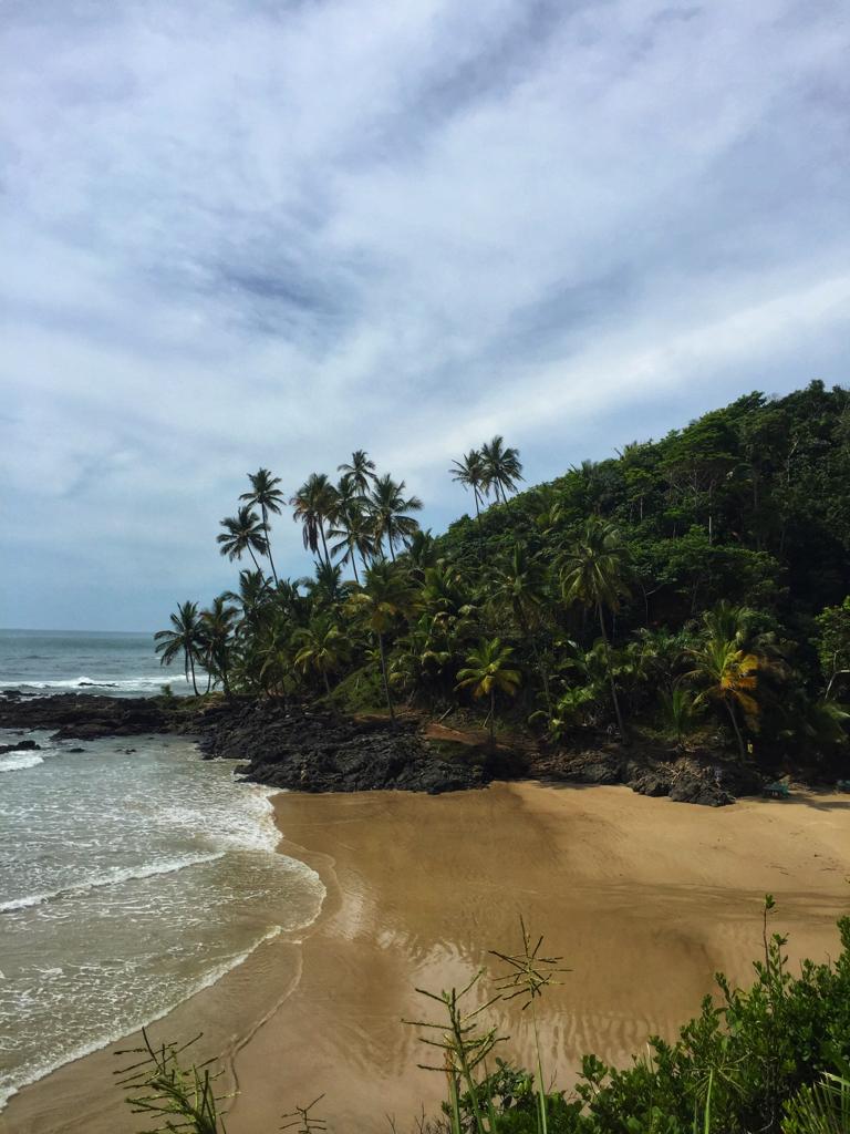 Galeria da expedição 4